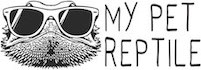 My Pet Reptile